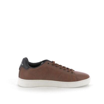 pronti-160-109-sergio-tacchini-baskets-cognac-fr-4p