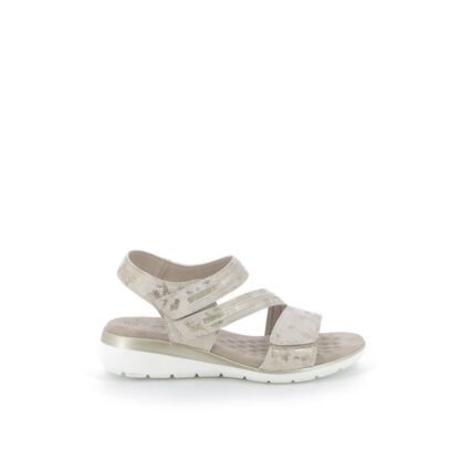pronti-363-0g5-claudia-ghizzani-sandales-champagne-fr-1p
